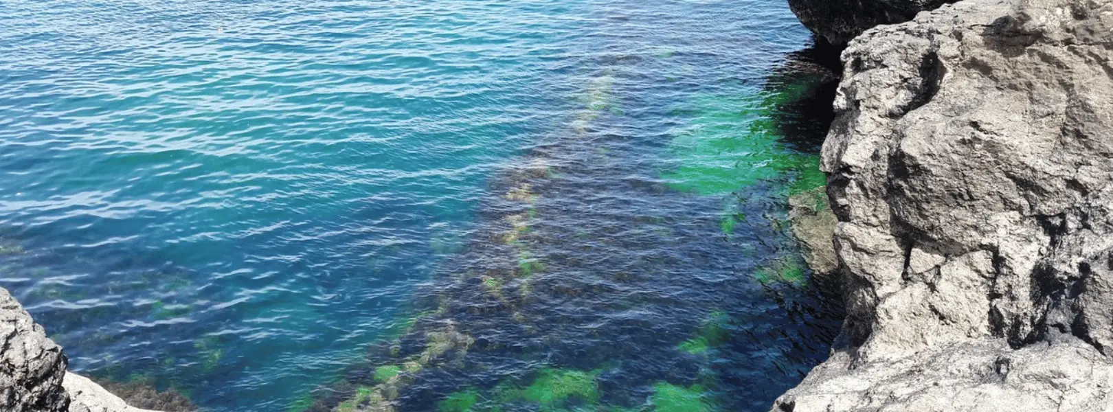 Car Rental Izmit No Deposit No Credit Card